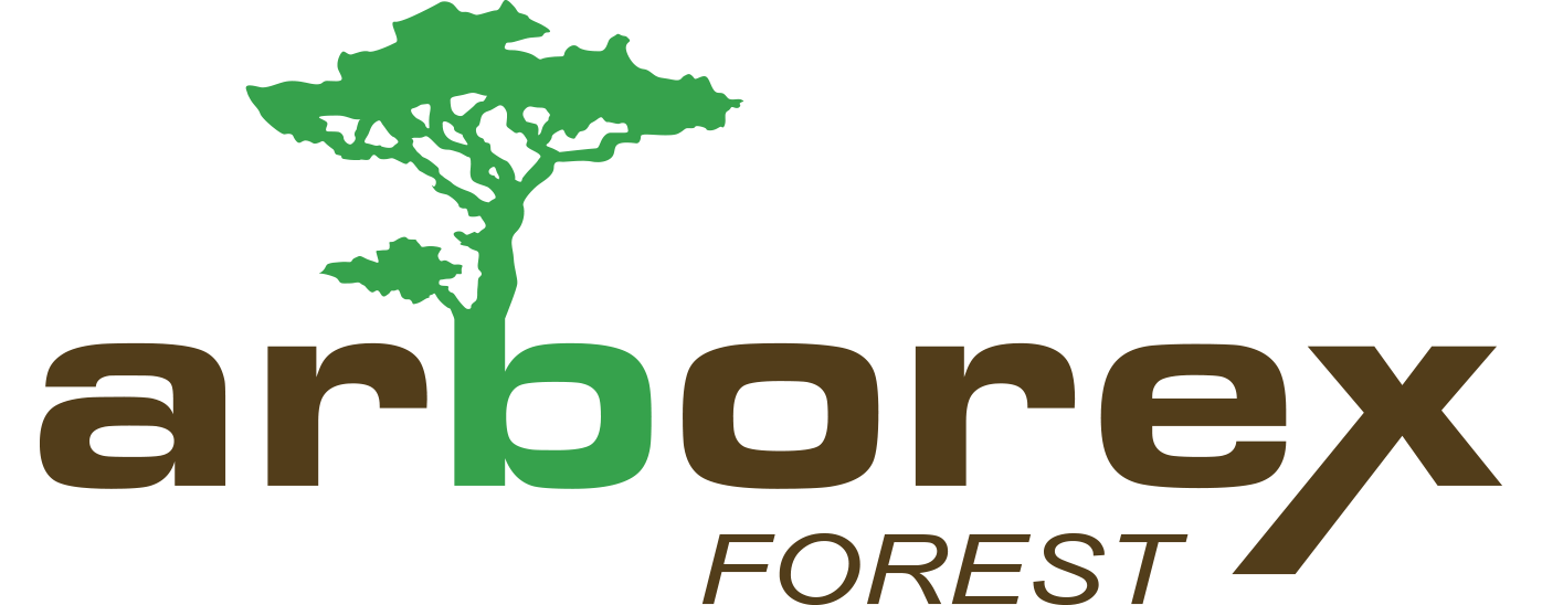Arborex, abattage d'arbres, exploitation forestière et commerce de bois en Belgique, Luxembourg et France.