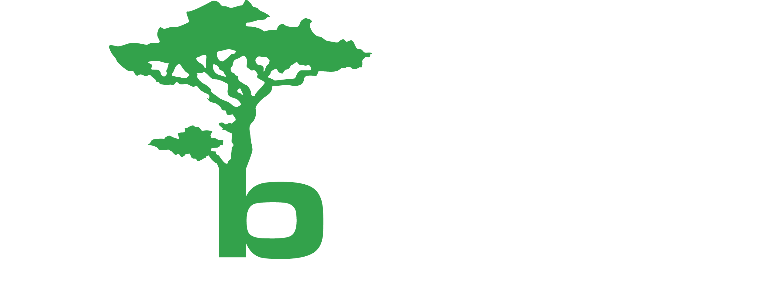 Arborex Forest