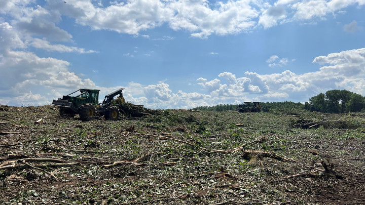 Mise à blanc Luxembourg