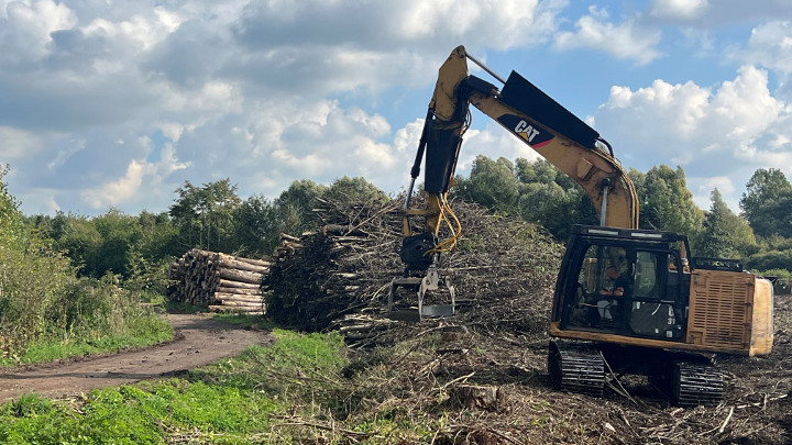 Exploitation forestière Liège
