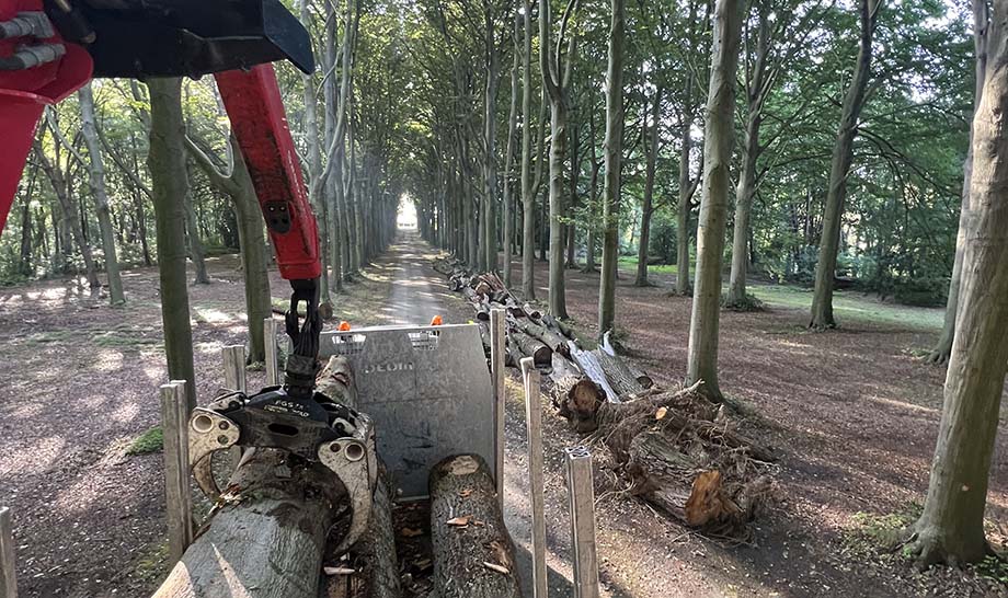 Exploitation forestière